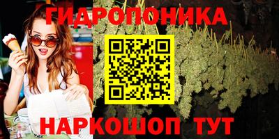 молекула духа Лесосибирск