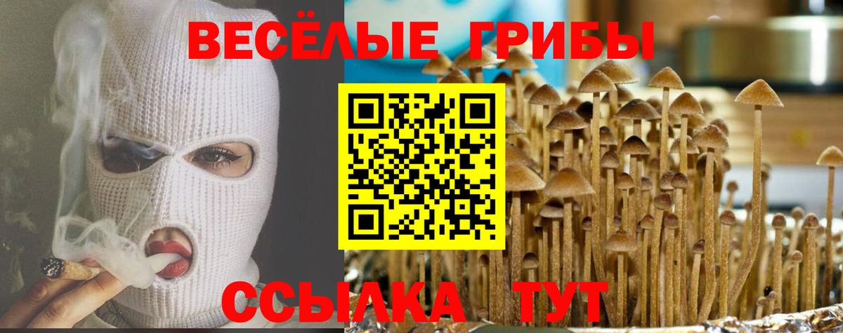Псилоцибиновые грибы мицелий Усть-Джегута